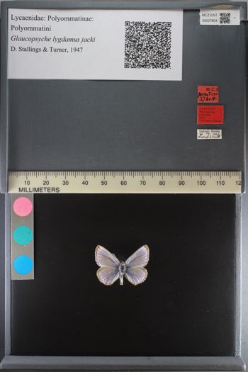 Media type: image;   Entomology 27804